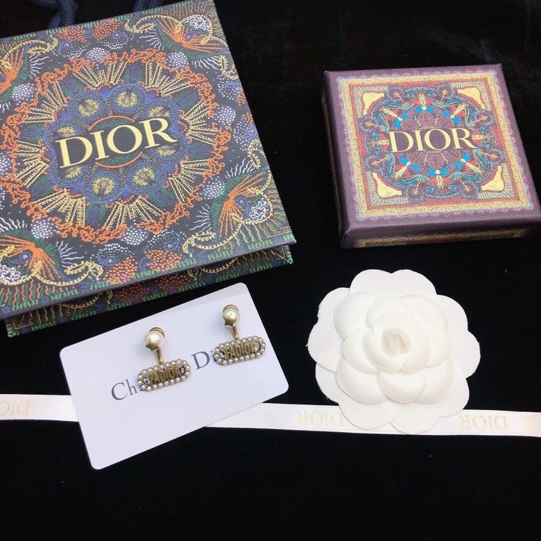 Christian Dior Earrings